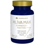Pharma Activ Hlíva Max Echinacea + Rakytník 60 tablet – Hledejceny.cz