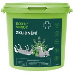 LEROS NERVINAE Horse bylinná směs na zklidnění 1 kg – Sleviste.cz
