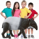 Schleich Tapír 14850 – Hledejceny.cz