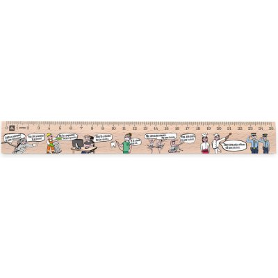 Metrie Didakt-M07 Dřevěné pravítko s potiskem Zájmena AJ 25 cm – Zboží Živě