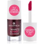 Essence Rtěnka What A Tint 01 Kiss From A Rose 4,9 ml – Zboží Mobilmania