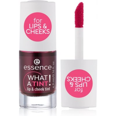 Essence Rtěnka What A Tint 01 Kiss From A Rose 4,9 ml – Zboží Mobilmania