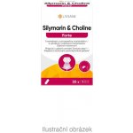 Livsane Silymarin a cholin Forte 30 kapslí – Hledejceny.cz