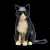 Figurka Animal Planet Kočka černo sedící
