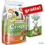 Versele-Laga Crispy Müsli morče 2,75 kg – Zbozi.Blesk.cz