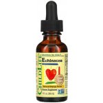 ChildLife Essentials Echinacea pro děti přírodní pomeranč kapky 30 ml – Hledejceny.cz