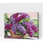 Vymalujsisam MALOVÁNÍ PODLE ČÍSEL KOŠÍK PLNÝ ŠEŘÍKU – Zboží Dáma