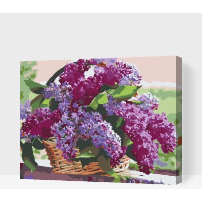 Vymalujsisam MALOVÁNÍ PODLE ČÍSEL KOŠÍK PLNÝ ŠEŘÍKU – Zboží Dáma