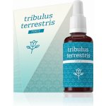 Tribulus terestris Forte 30 ml – Hledejceny.cz