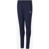 Dětské sportovní kalhoty Puma teamRISE Poly Trg Pants Jr 65739106