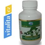 Australian Remedy Ginkgo 2500 100 kapslí – Hledejceny.cz
