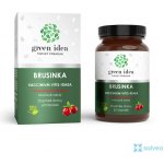 Green idea Brusinka obecná bylinný extrakt 60 kapslí – Hledejceny.cz
