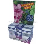 Silva Tabs Borůvky, rododendrony 250g – Zboží Dáma