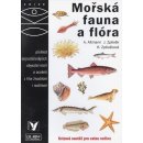 OKO Mořská fauna a flóra