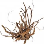 Nobby Kořen malý 15x8x17,5 cm – Zboží Mobilmania