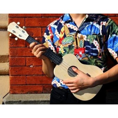 Kikkerland stavebnice hudební nástroje ukulele kytara