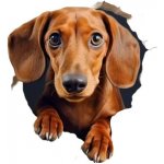 Vinylová samolepka - jezevčík III (8,0 cm) – Zbozi.Blesk.cz