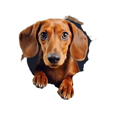 Vinylová samolepka - jezevčík III (8,0 cm) – Zbozi.Blesk.cz