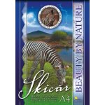 MFP Skicák A4 20 listů – Zboží Mobilmania