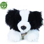 Eco-Friendly Rappa pes border kolie 40 cm – Sleviste.cz