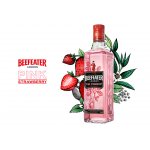 Beefeater Pink Gin 37,5% 0,7 l (holá láhev) – Zboží Mobilmania