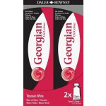 Daler Rowney Georgian sada olejových barev titanium white 2 ks 225 ml – Hledejceny.cz