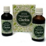 Ondřej Ullrich Clarkia tinktura proti hlístům 2 x 50 ml – Hledejceny.cz