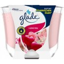 Glade by Brise I Love You 224 g