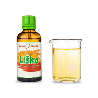 Bylinné kapky Liška obecná kapky tinktura 50 ml