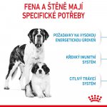 Royal Canin Starter Mother&Babydog Giant 15 kg – Hledejceny.cz