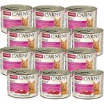 Carny Adult masový koktejl 12 x 200 g – Hledejceny.cz