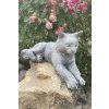 Pierre design Zahradní betonová dekorace - Odpočívající kočka