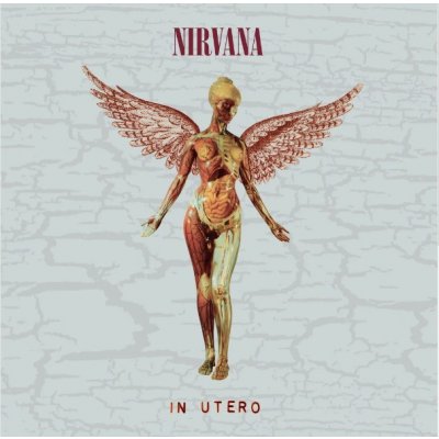 Nirvana - In Utero 30th Anniversary Deluxe CD