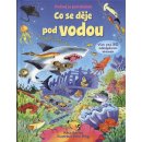 Kniha Co se děje pod vodou