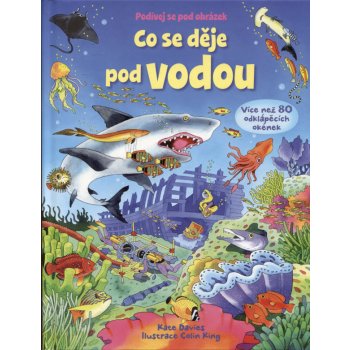 Co se děje pod vodou