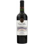 Casa Silva Carmenere reserva 2020 14% 0,75 l (holá láhev) – Hledejceny.cz