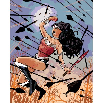 ZUTY Malování podle čísel WONDER WOMAN ŠÍPY 40 x 50 cm – Hledejceny.cz