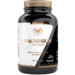 Victorious Nutrition hořčík bisglycinát 100 kapslí – Hledejceny.cz