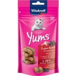 Vitakraft Cat Yums Superfood kachna bezinka 40 g – Zboží Mobilmania