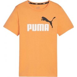 Puma ESSENTIALS+2 COL LOGO TEE Dětské triko oranžová