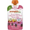 Příkrm a přesnídávka Pumpkin Organics BIO Hruška, jahoda, batát, červená řepa, banán, oves 100 g