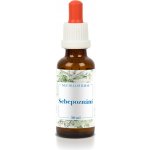 Bachovy květové esence SEBEPOZNÁNÍ 30 ml – Hledejceny.cz