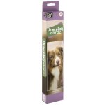 Alltoys Canenco Malování pomocí kamínků Diamond pejsek 30x30 cm – Hledejceny.cz