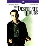 Hodiny zoufalství DVD – Hledejceny.cz