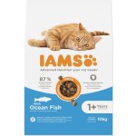 Iams ProActive Health Adult Original kuře 3 kg – Hledejceny.cz