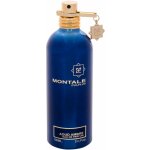 Montale Aoud Ambre parfémovaná voda unisex 100 ml – Zboží Mobilmania