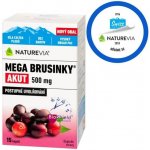 Swiss NatureVia Mega brusinky 60 kapslí – Sleviste.cz