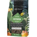 Lechuza CACTUSPON 3 l – Zboží Dáma