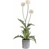 Květina Gasper Umělý keř Bodlák, bílý, 70 cm