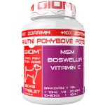 Giom Akutní pohybové potíže 60 tbl – Zboží Mobilmania